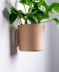 Original Wall Planter with Hidden Drip Tray