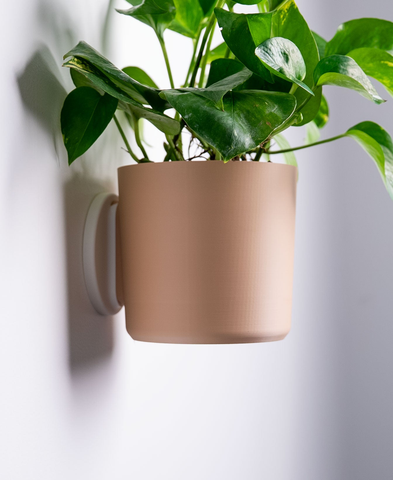 Original Wall Planter with Hidden Drip Tray