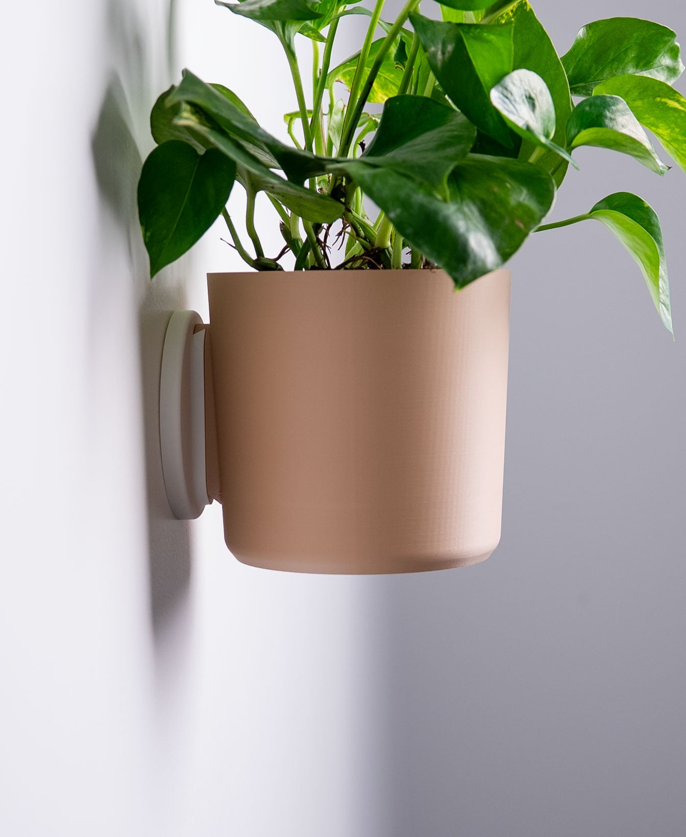 Original Wall Planter with Hidden Drip Tray