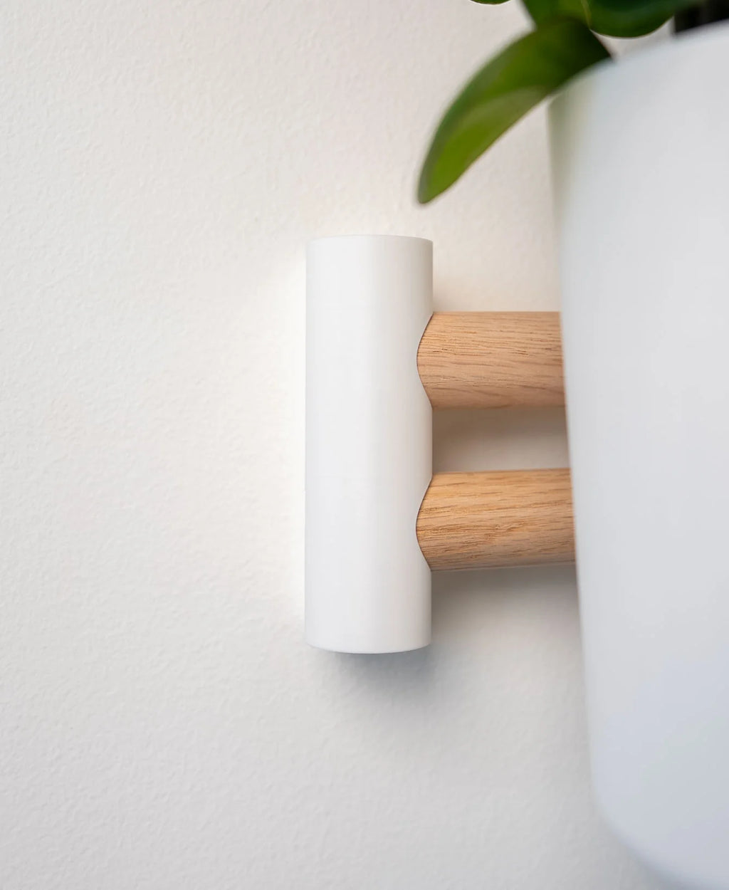 Horizontal Wall Mounted Plant Display- Lofted Goods