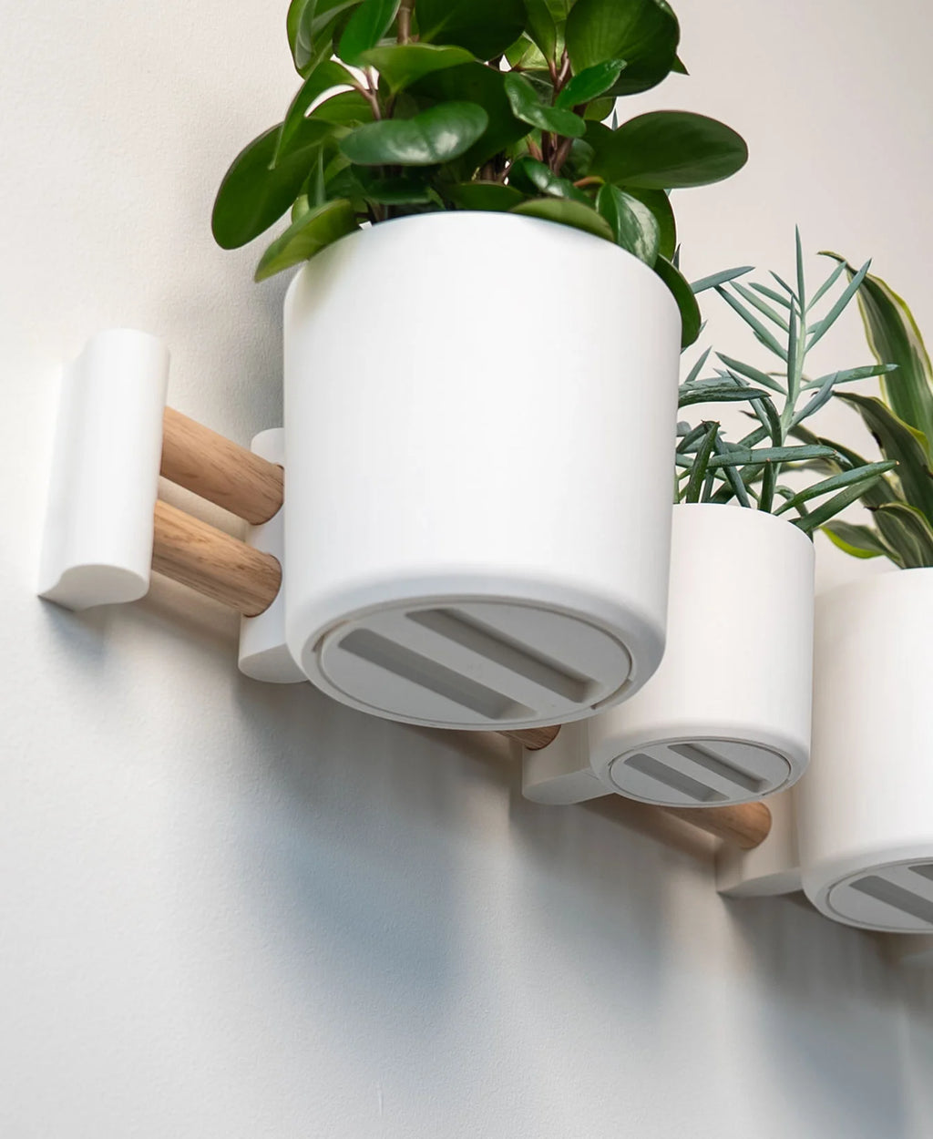 Horizontal Wall Mounted Plant Display- Lofted Goods