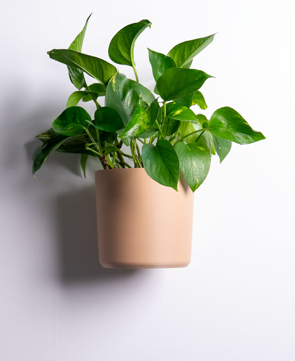 Original Wall Planter with Hidden Drip Tray