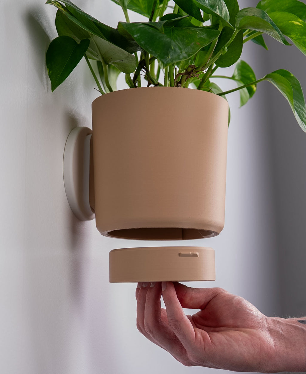 Original Wall Planter with Hidden Drip Tray