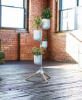 Lofted Goods Free Standing Plant Display