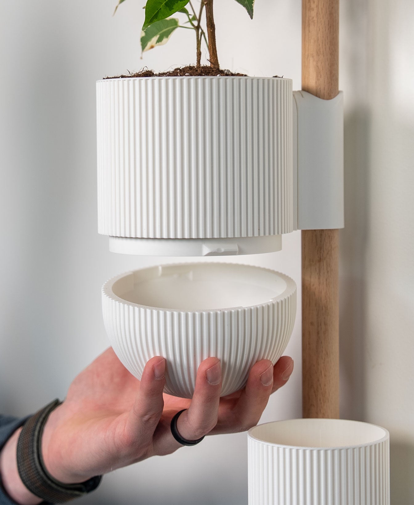 Ira Wall Planter with Hidden Drip Tray