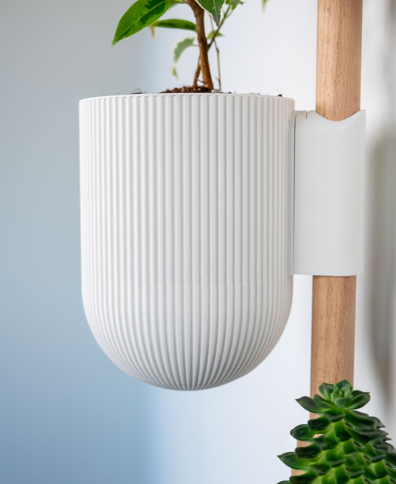 Ira Wall Planter with Hidden Drip Tray
