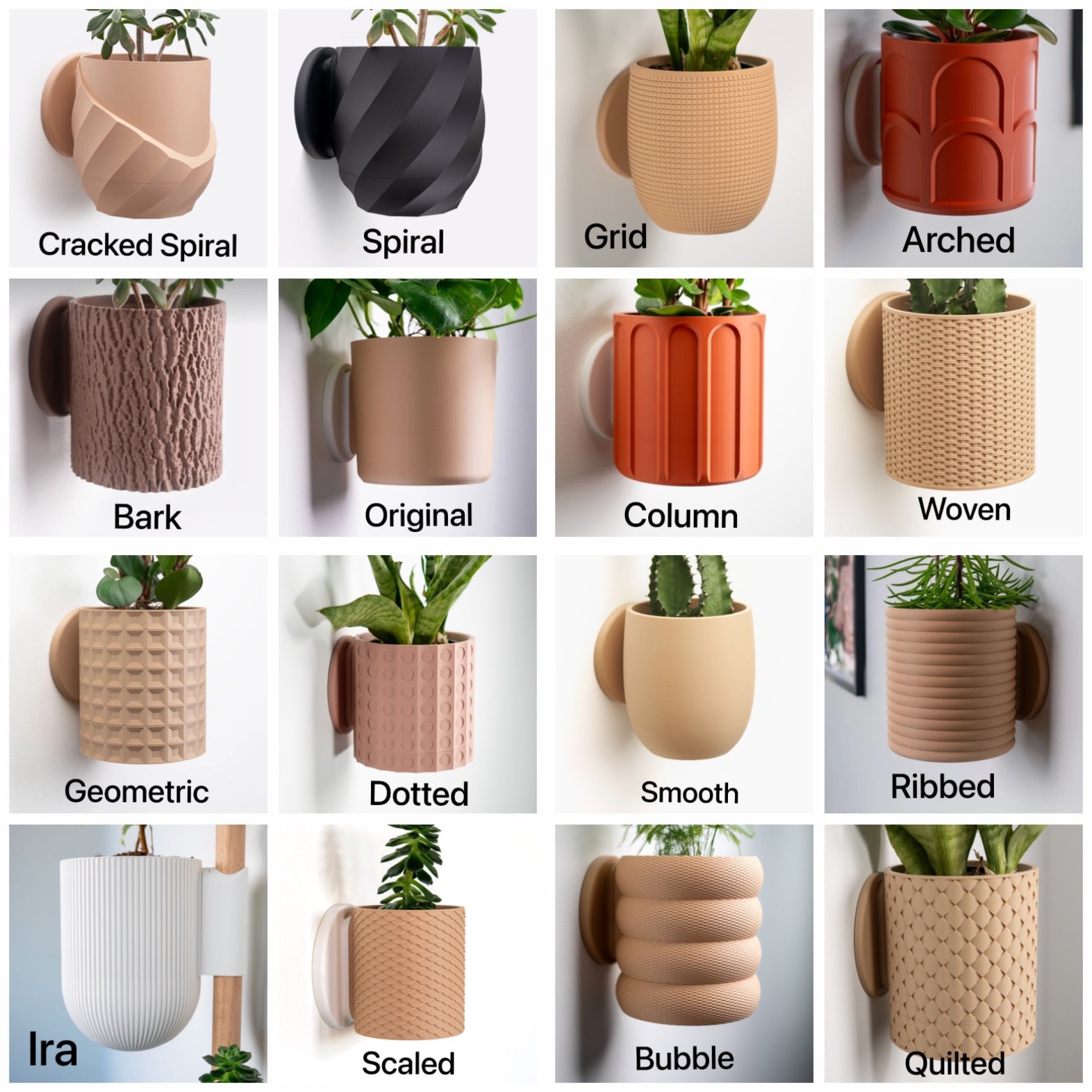 Horizontal Wall Mounted Plant Display- Lofted Goods