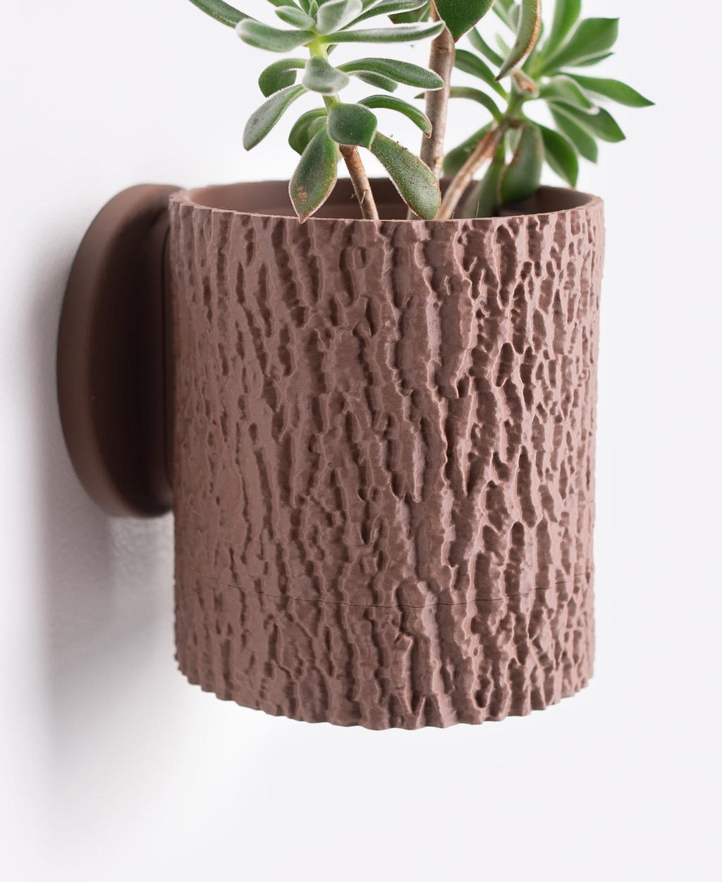 Bark Wall Planter with Hidden Drip Tray