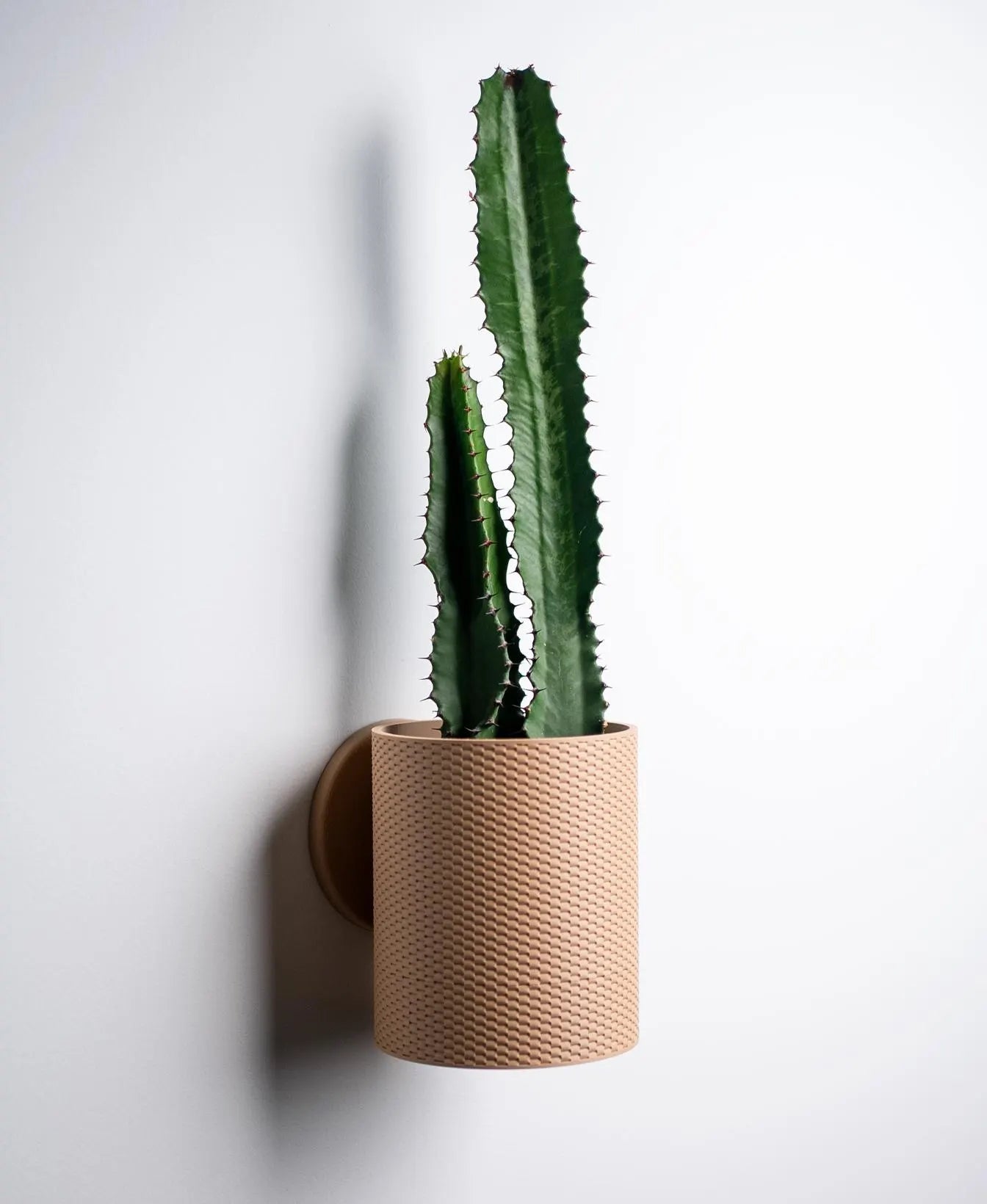 Straight Weave Wall Planter with Hidden Drip Tray