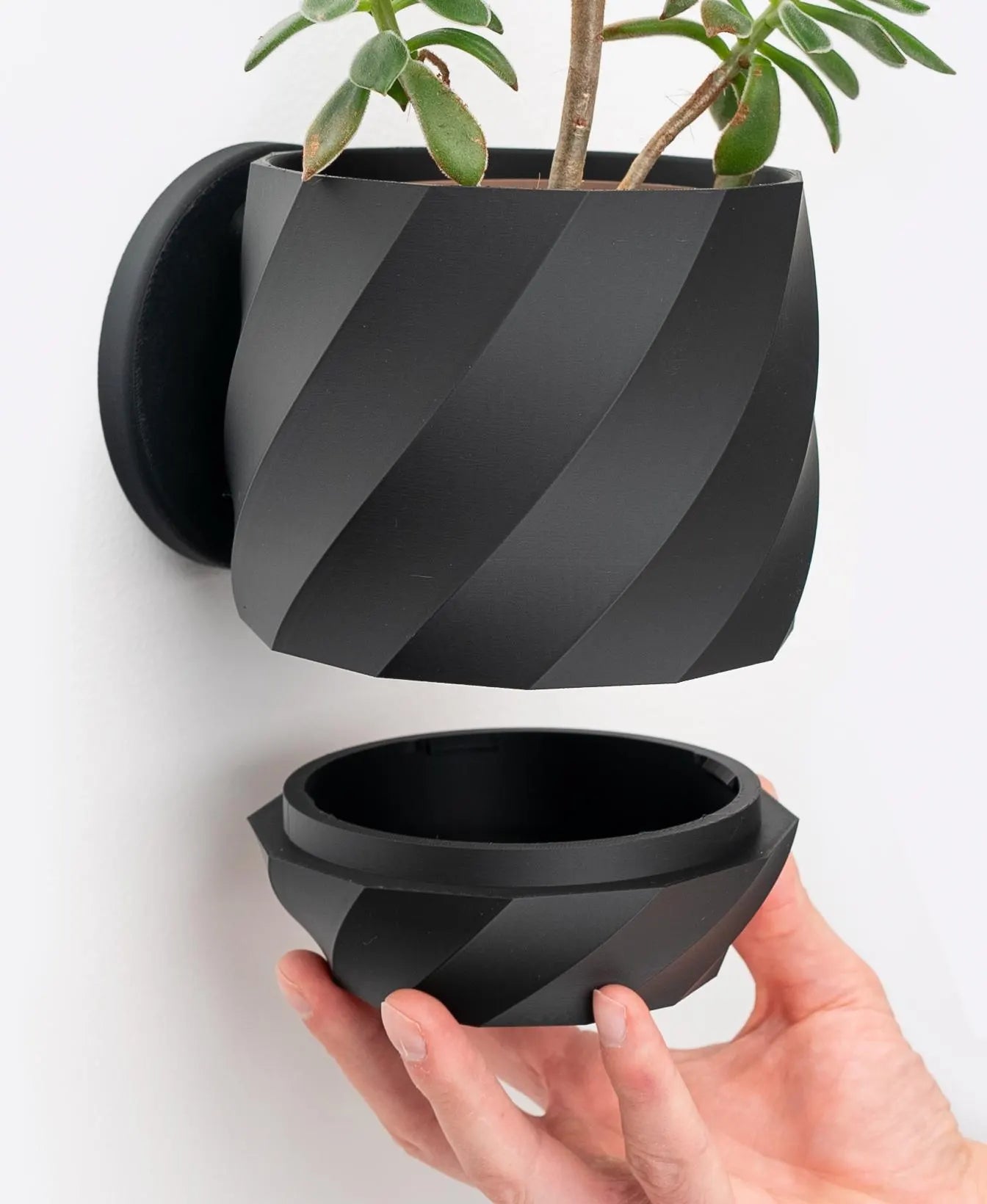 Twisted Wall Planter with Hidden Drip Tray