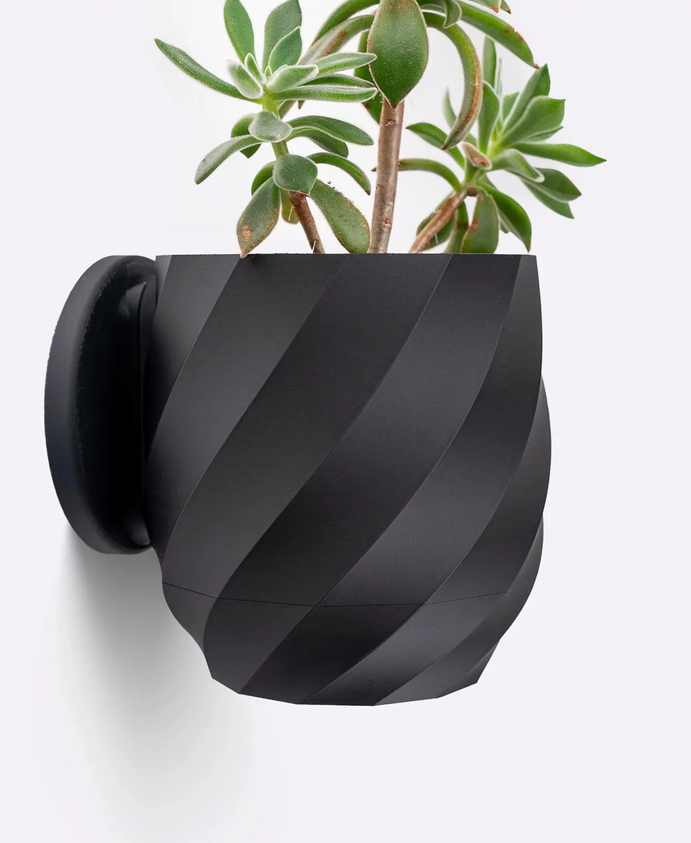 Twisted Wall Planter with Hidden Drip Tray