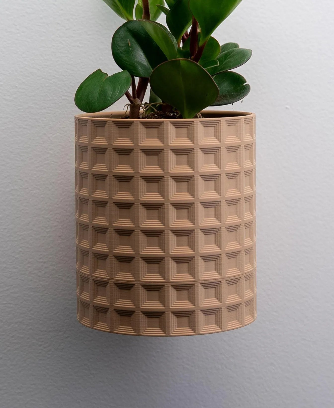 Geometric Wall Planter with Hidden Drip Tray