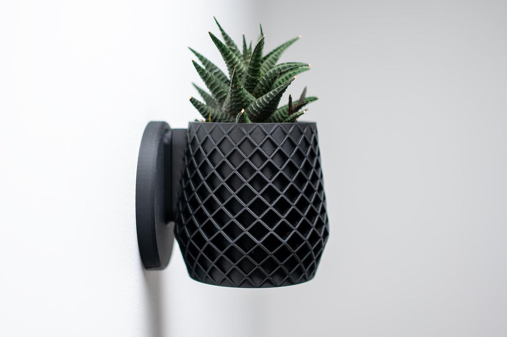 Lattice Wall Planter with Hidden Drip Tray