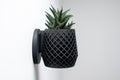 Lattice Wall Planter with Hidden Drip Tray