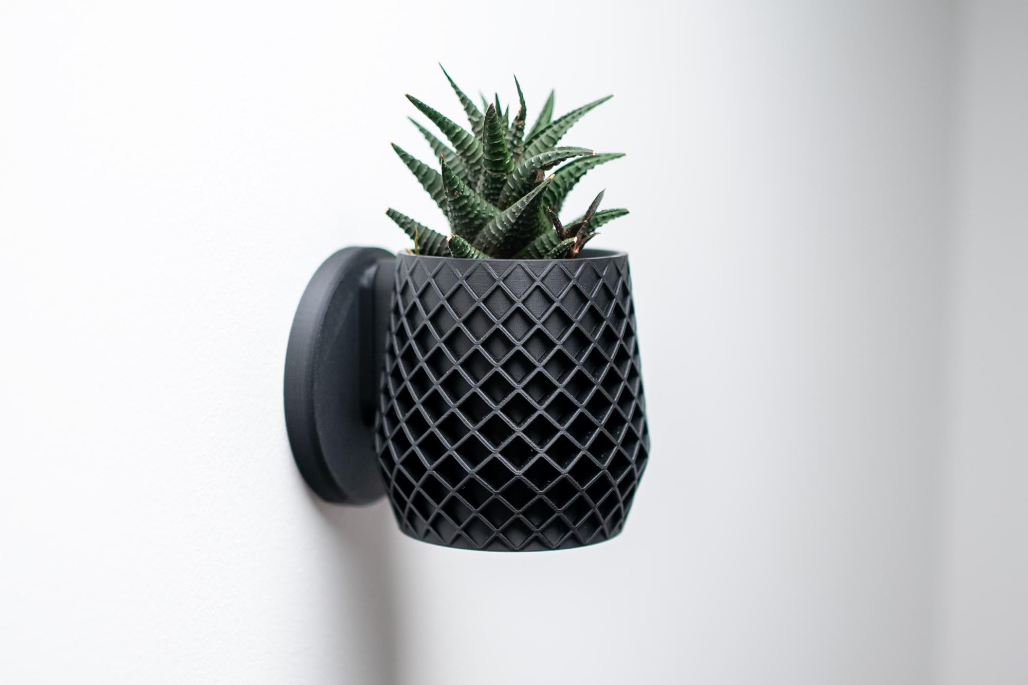 Lattice Wall Planter with Hidden Drip Tray