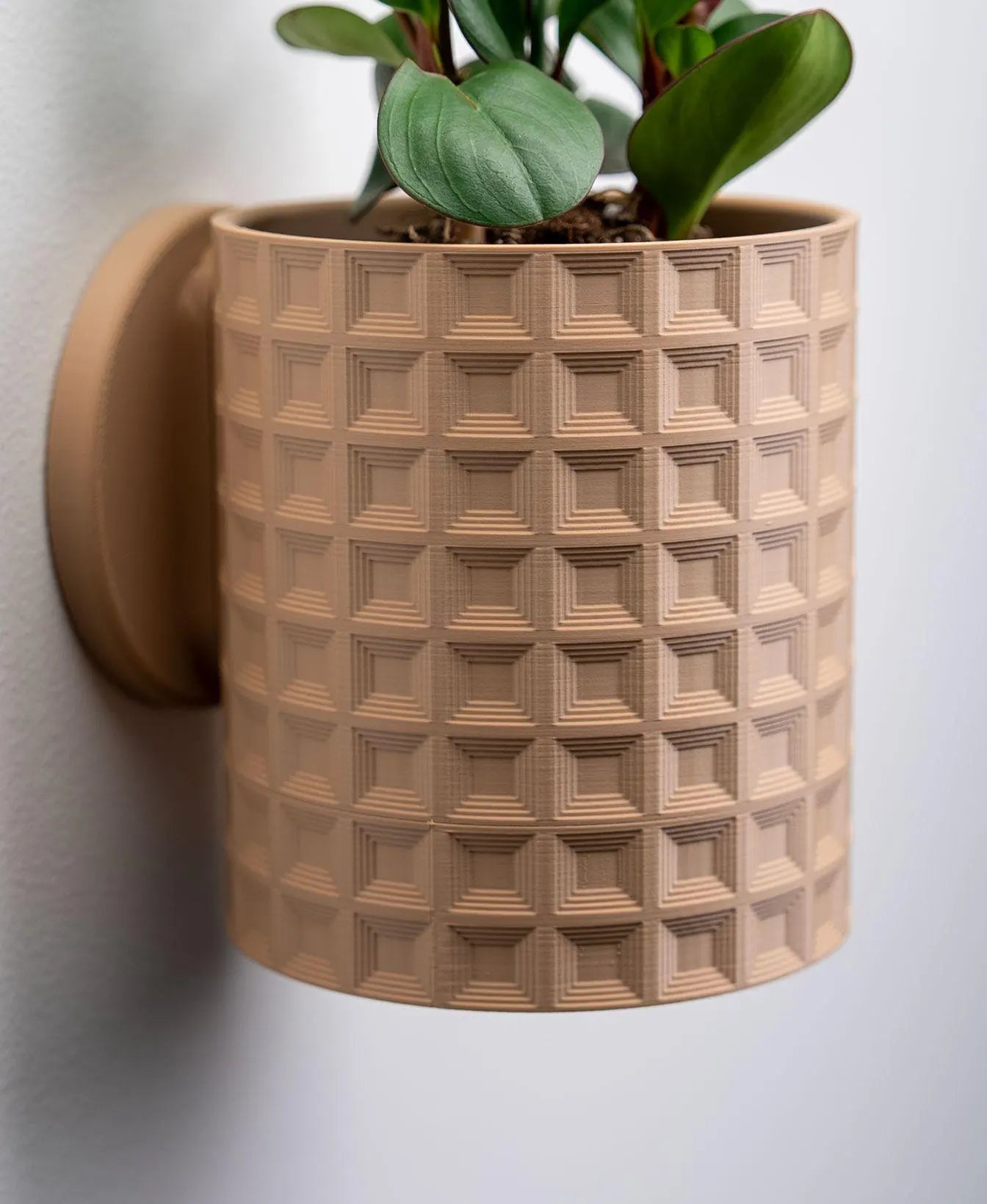 Geometric Wall Planter with Hidden Drip Tray