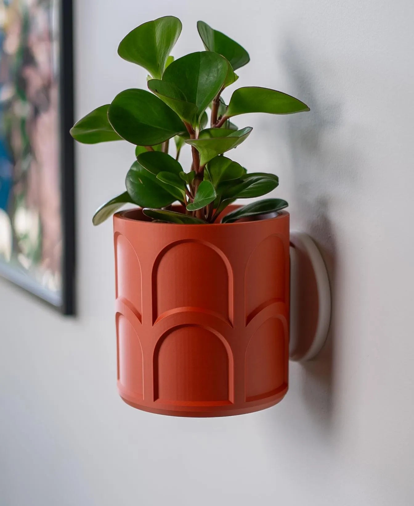 Archway Wall Planter with Hidden Drip Tray