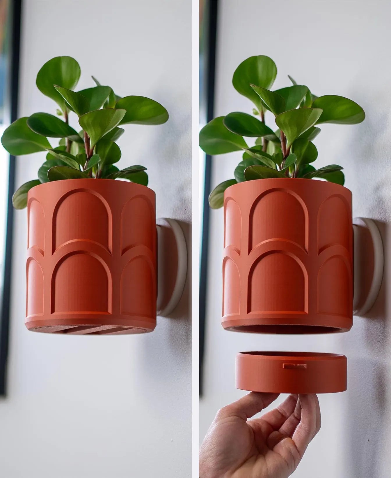 Archway Wall Planter with Hidden Drip Tray