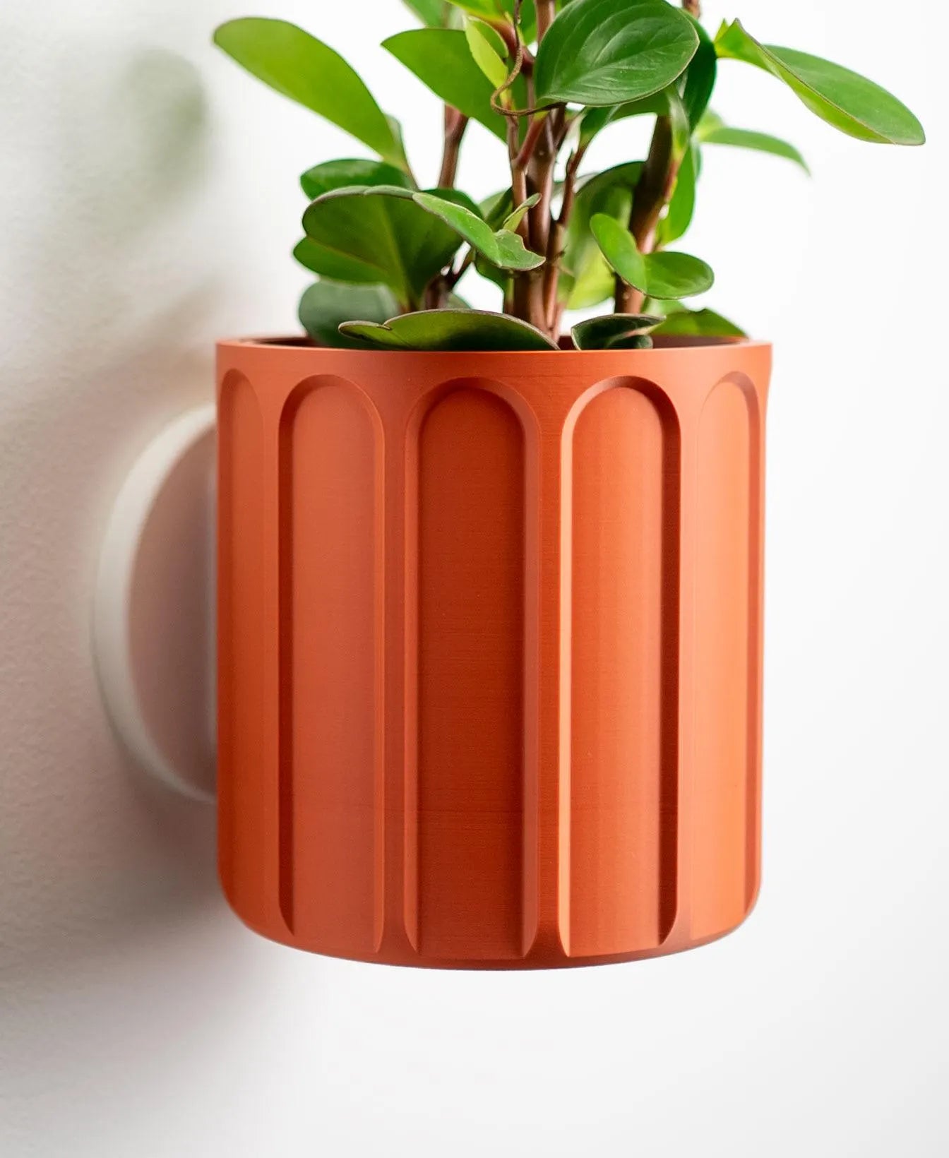 Column Wall Planter with Hidden Drip Tray