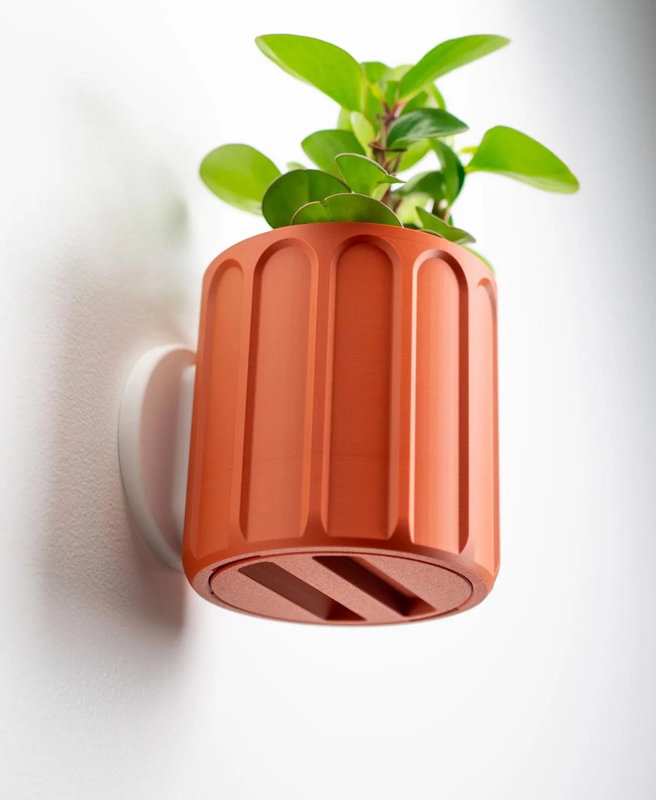 Column Wall Planter with Hidden Drip Tray