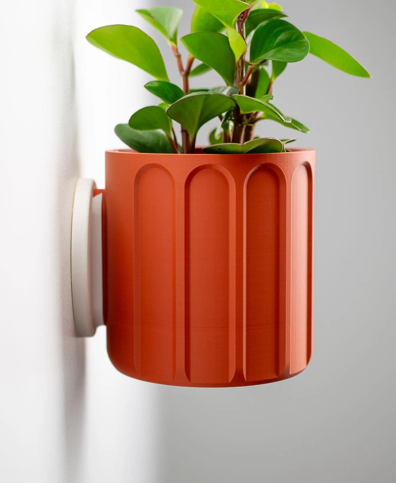 Column Wall Planter with Hidden Drip Tray