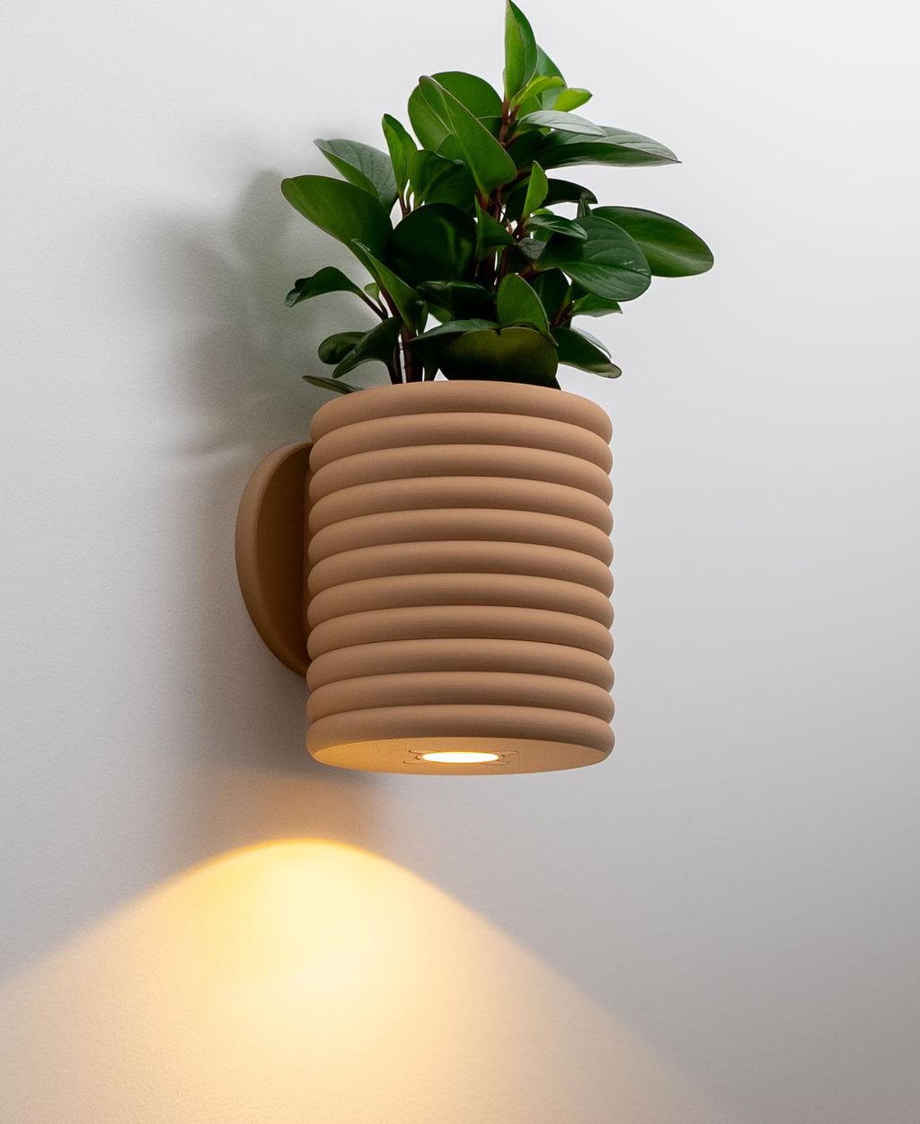 Ribbed Wall Light Planter With Hidden Drip Tray