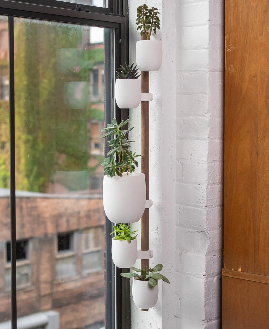 Lofted Goods Wall Mounted Plant Display