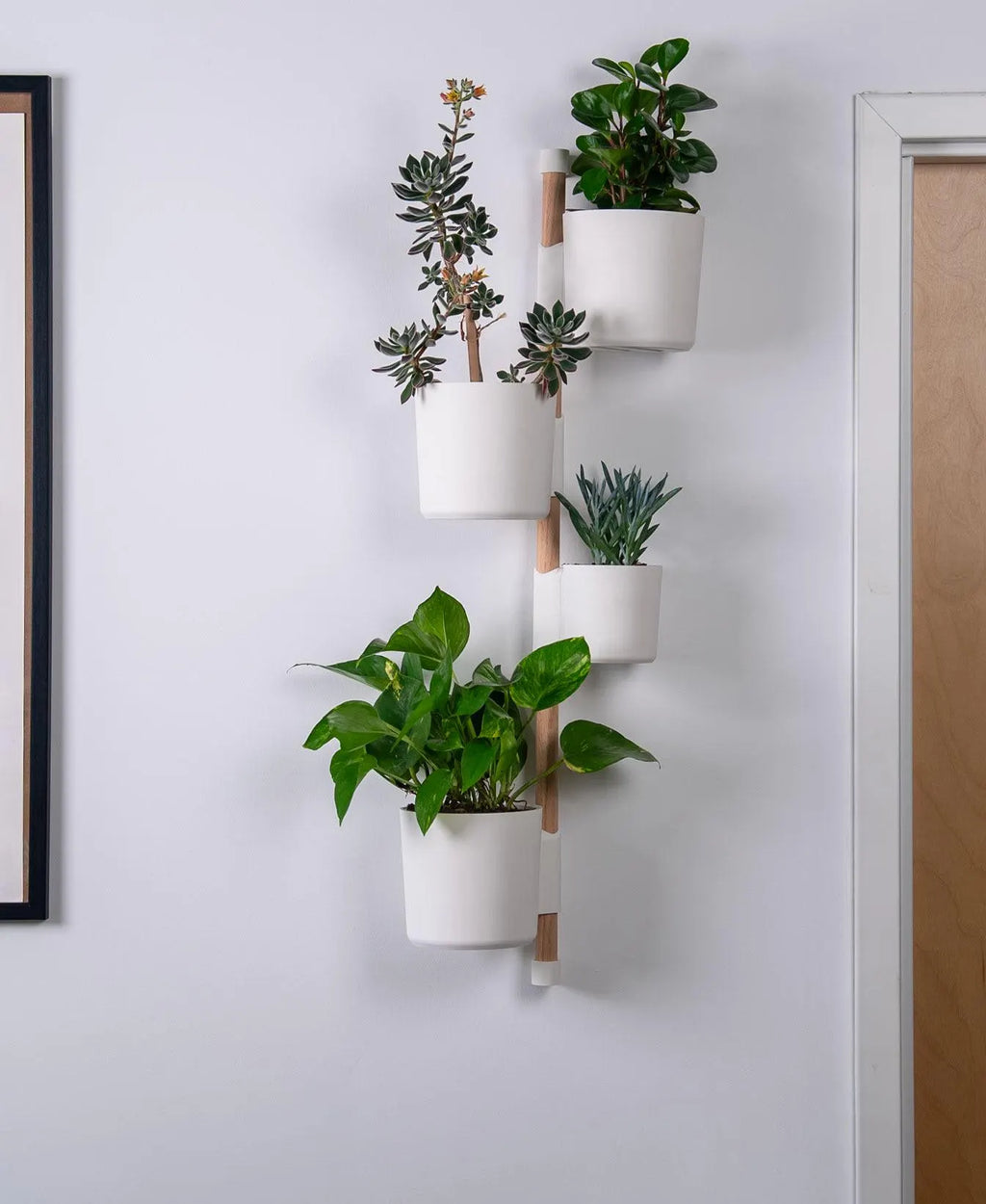 Lofted Goods Wall Mounted Plant Display
