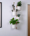 Lofted Goods Wall Mounted Plant Display