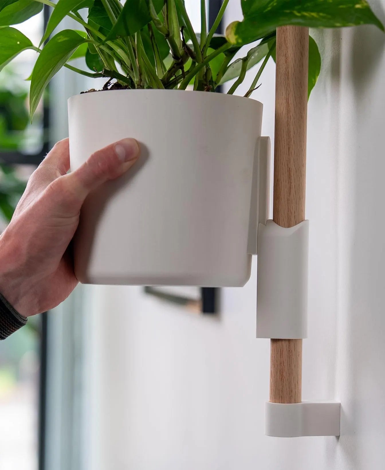 Lofted Goods Wall Mounted Plant Display