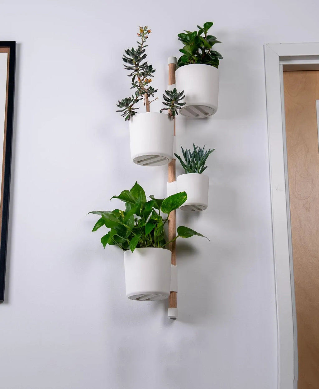 Lofted Goods Wall Mounted Plant Display