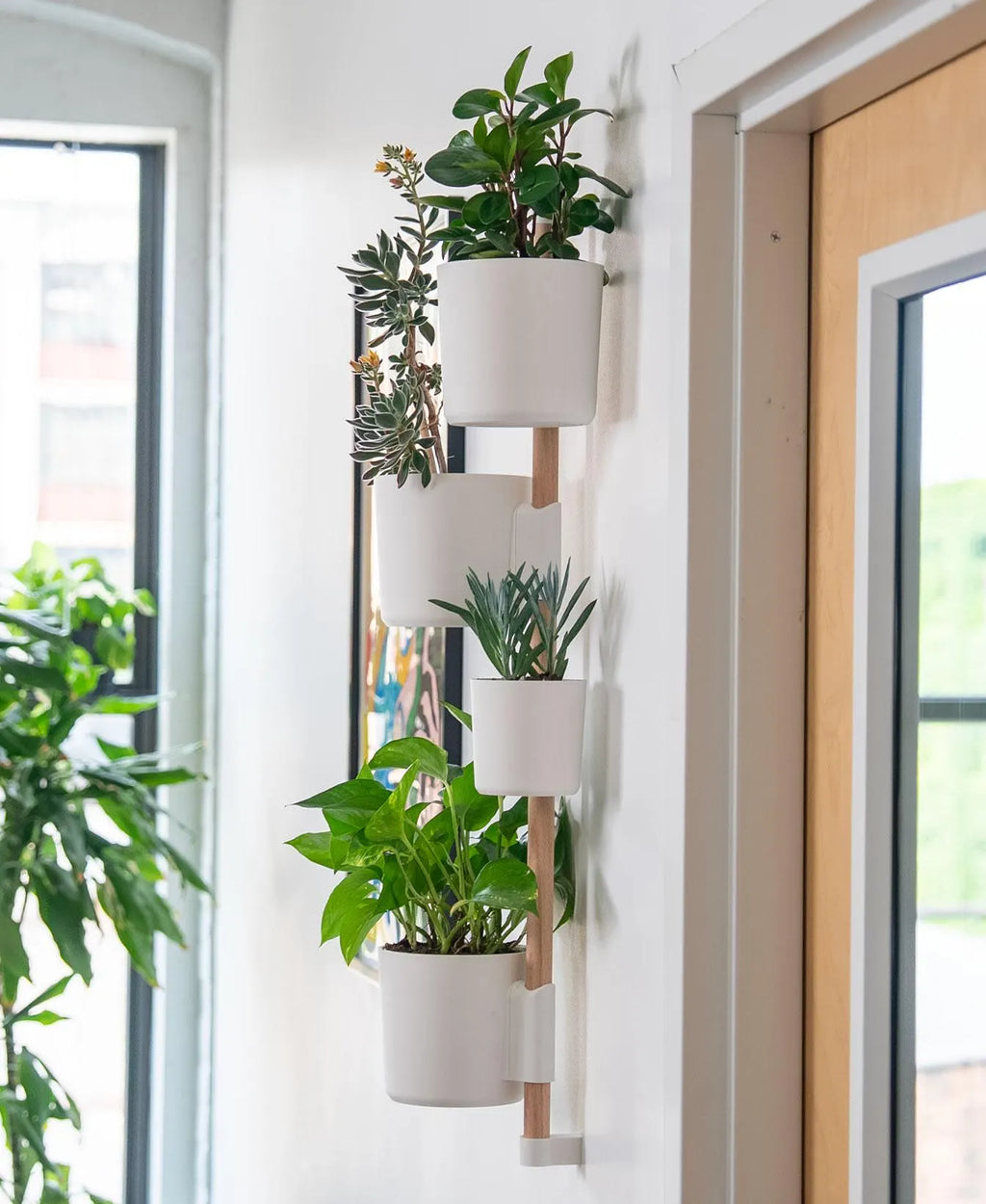Lofted Goods Wall Mounted Plant Display