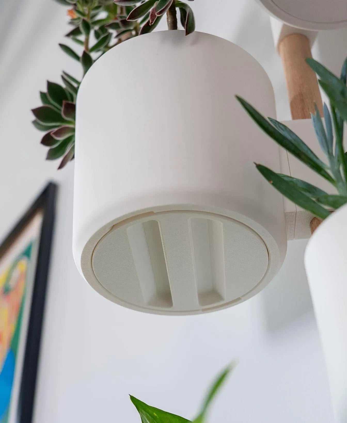 Lofted Goods Wall Mounted Plant Display