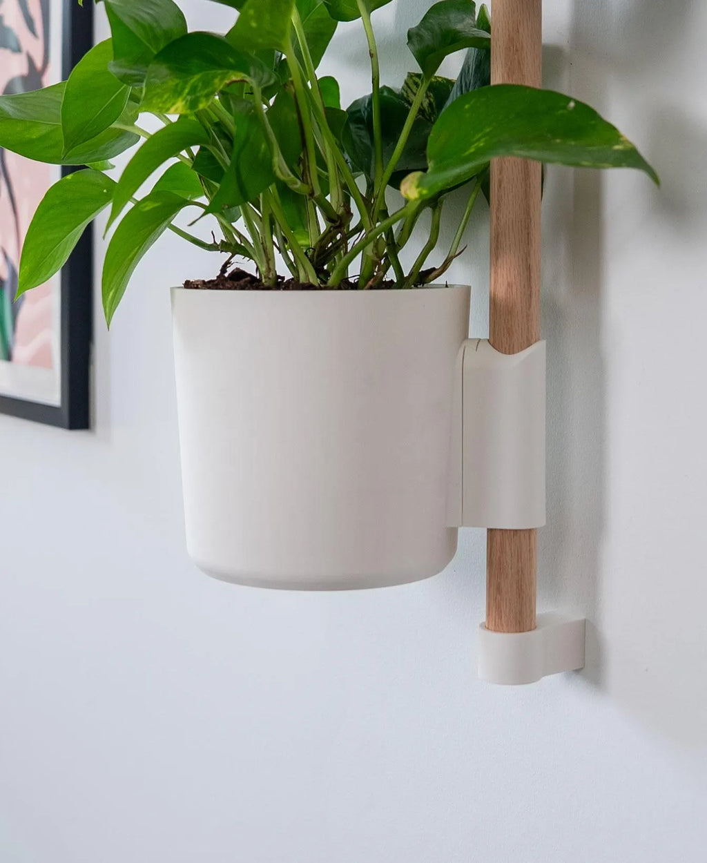 Lofted Goods Wall Mounted Plant Display