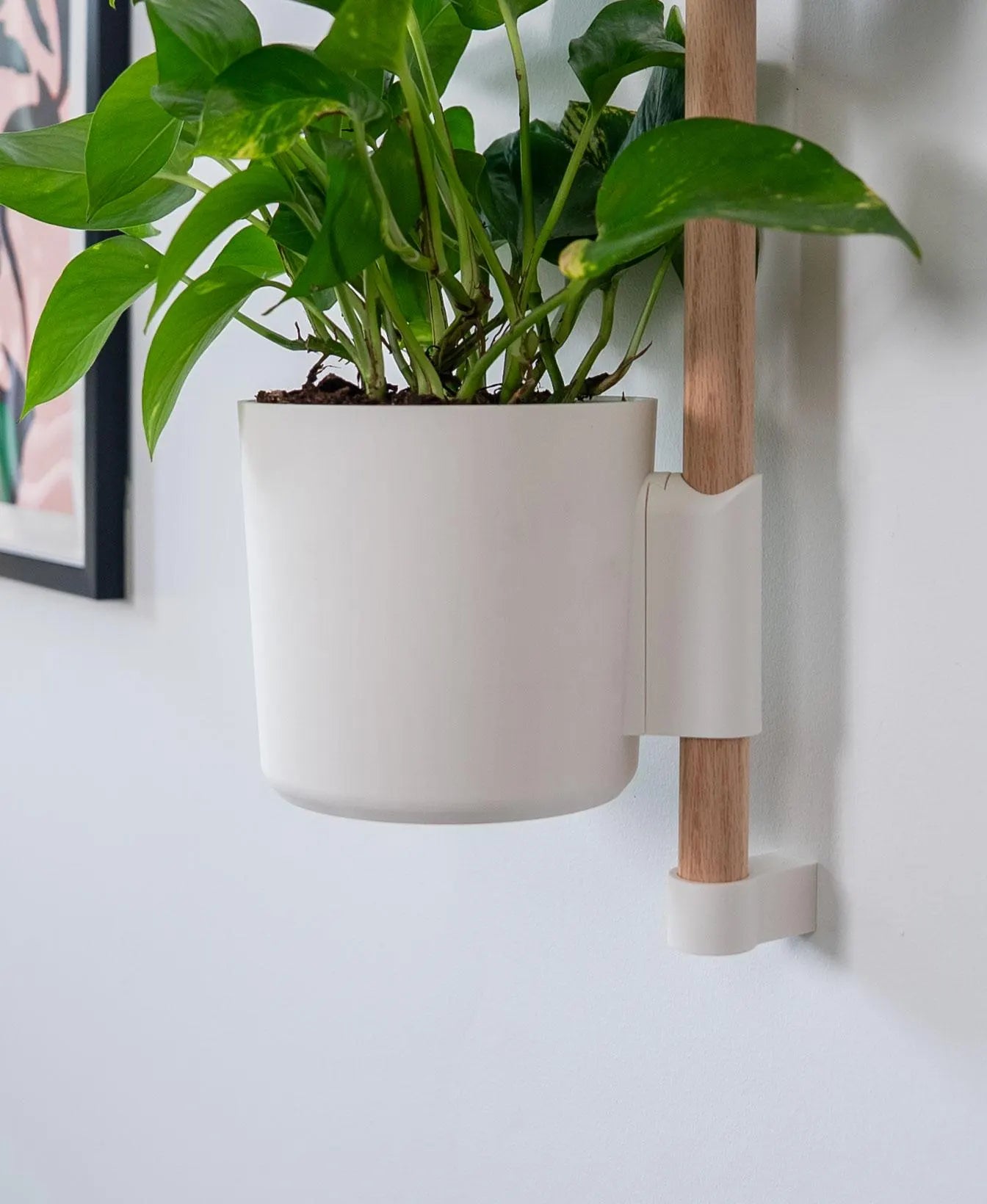 Lofted Goods Wall Mounted Plant Display