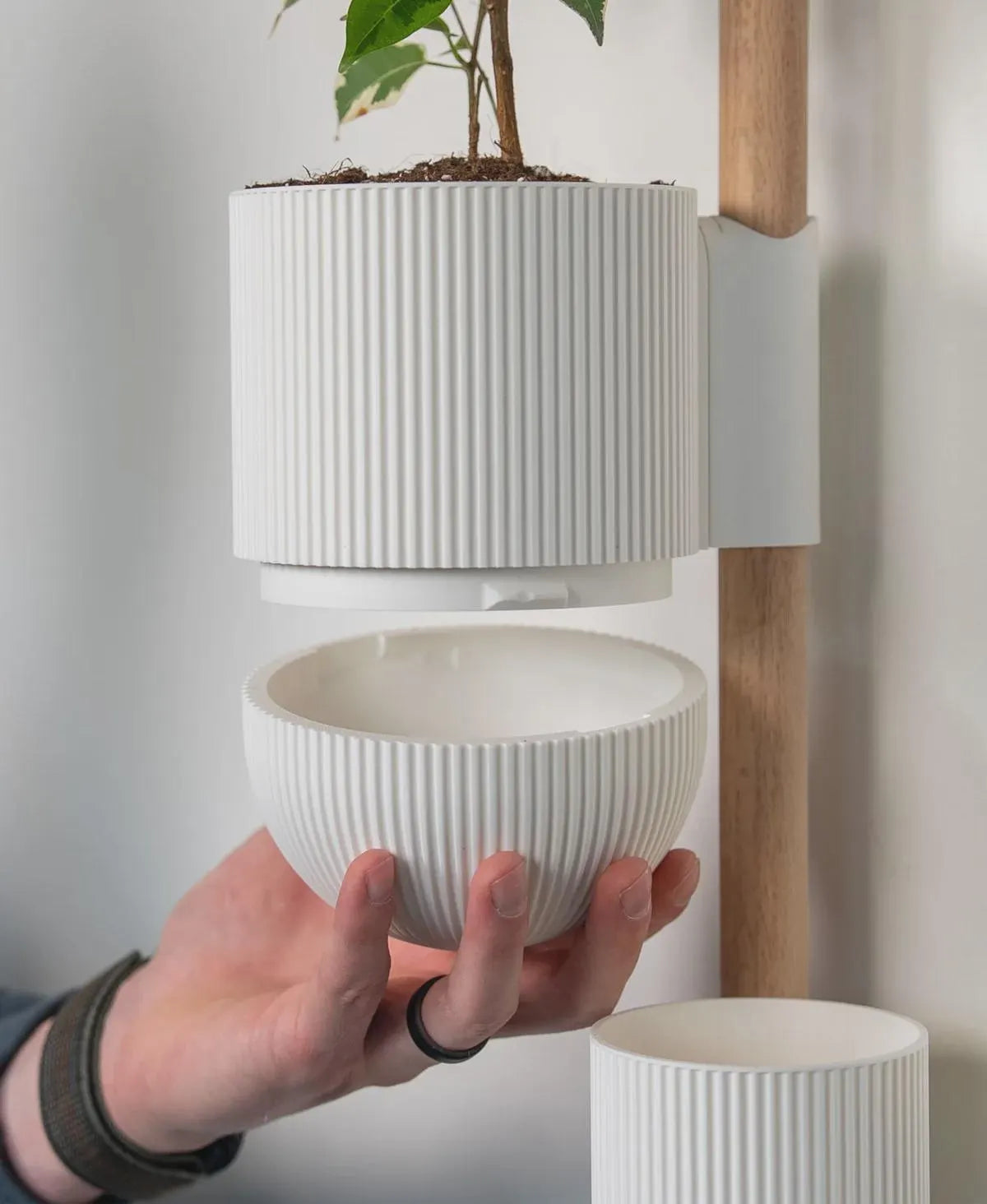 Lofted Goods Wall Mounted Plant Display