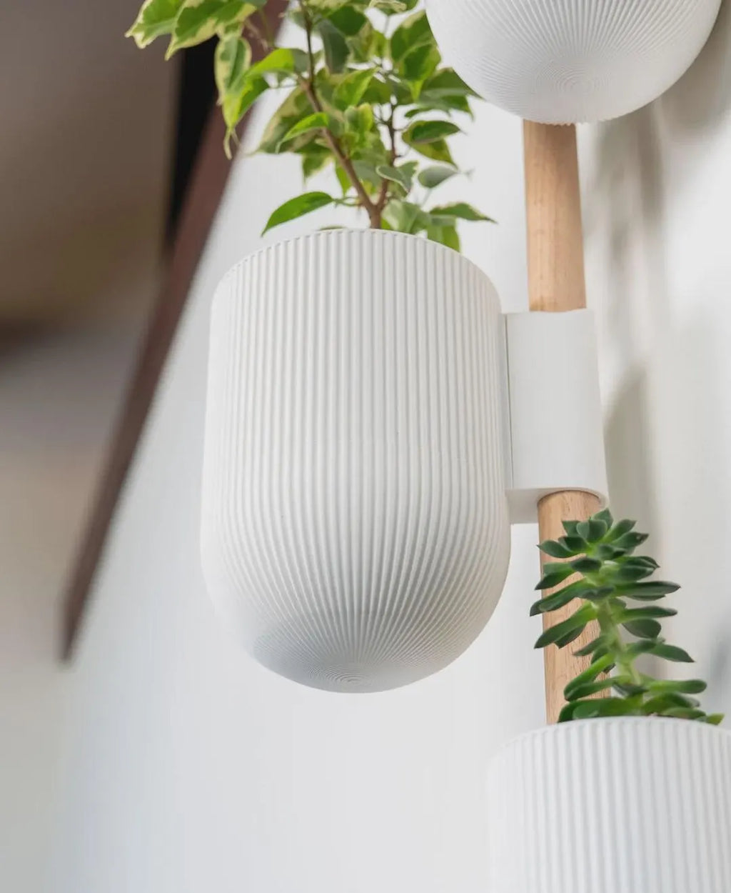 Lofted Goods Wall Mounted Plant Display