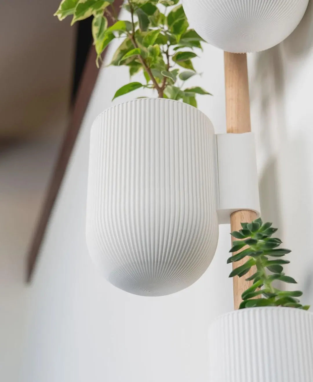 Lofted Goods Wall Mounted Plant Display