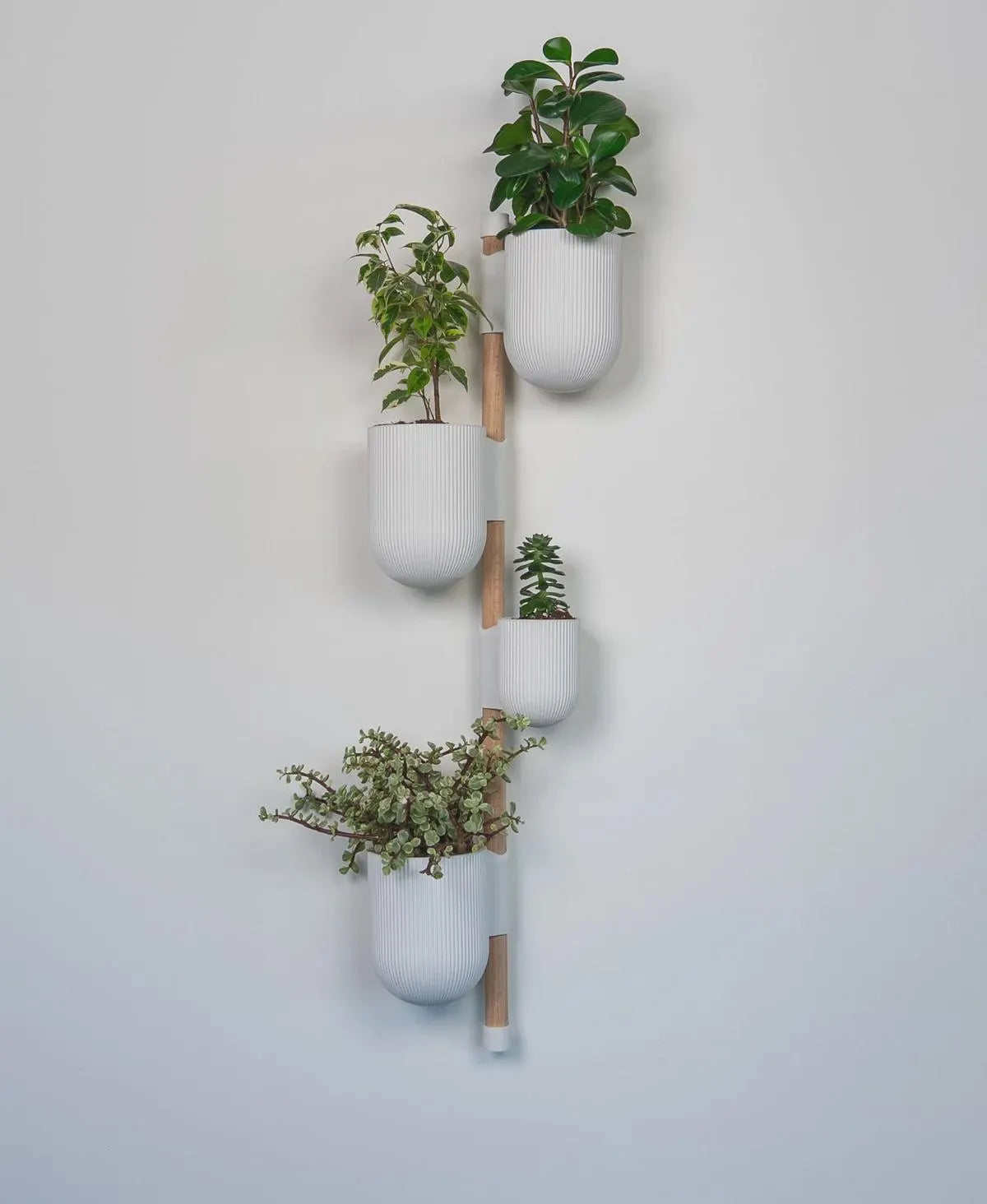 Lofted Goods Wall Mounted Plant Display