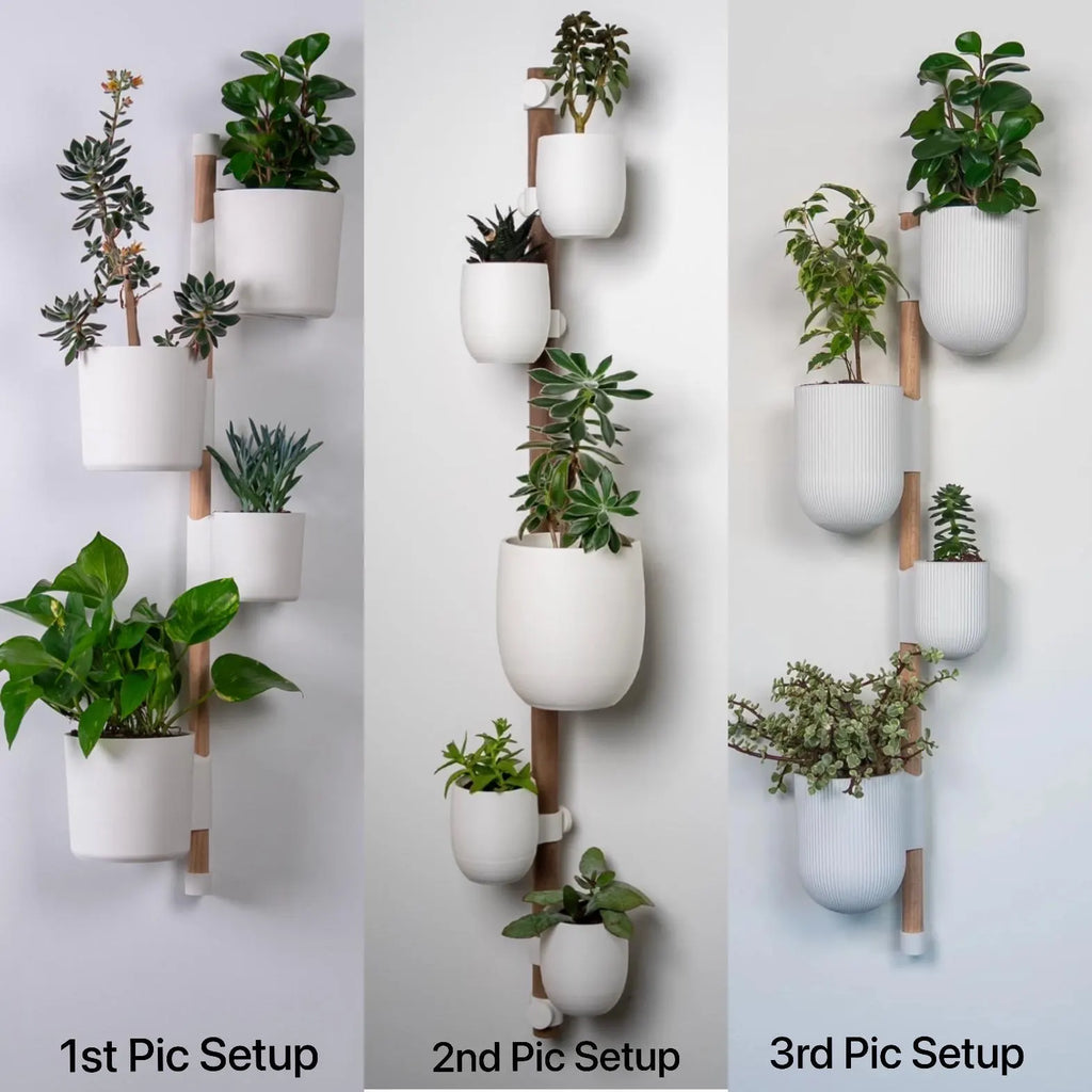 Lofted Goods Wall Mounted Plant Display