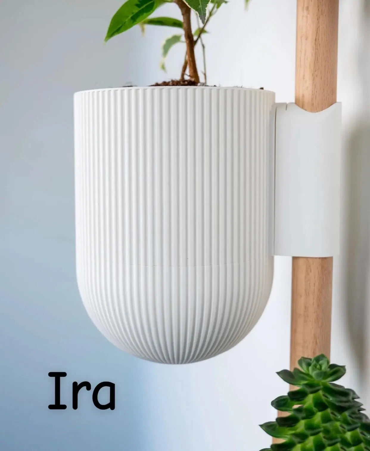 Lofted Goods Wall Mounted Plant Display