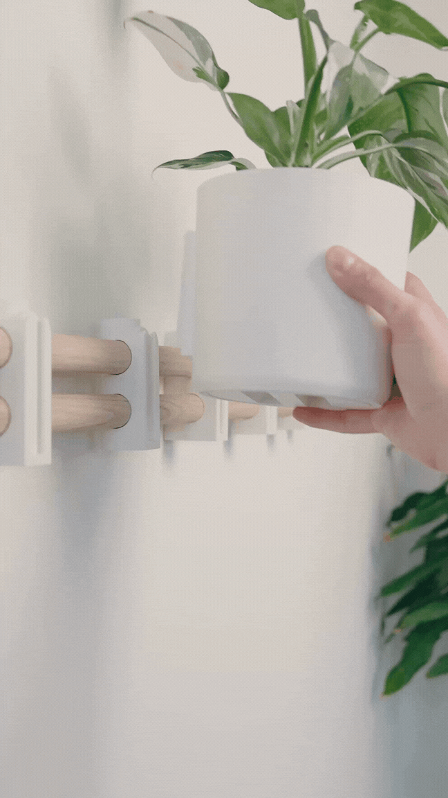 Horizontal Wall Mounted Plant Display- Lofted Goods